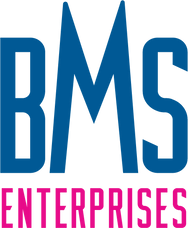 BMS Enterprises: Wholesale Adult Sex Toys & Novelties logo