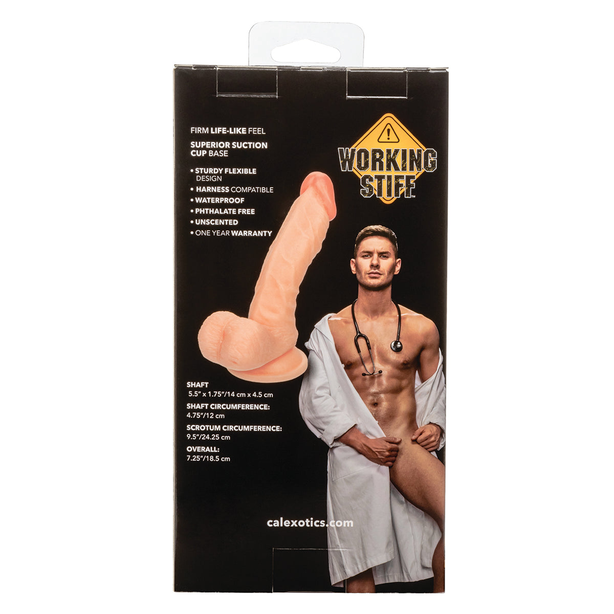 CaleXOtics – Working Stiff - The Doctor – 5.5” Dong – Light Ivory