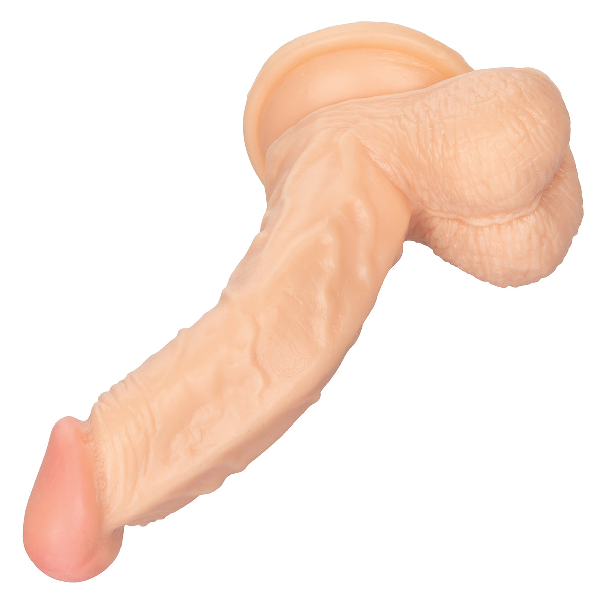 CaleXOtics – Working Stiff - The Doctor – 5.5” Dong – Light Ivory