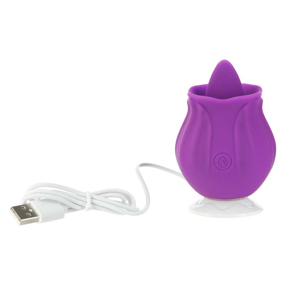 https://bmsenterprises.com/cdn/shop/products/MM12-02---Happy-Meeting---Rose-Flickering-Toy---Purple---charging_grande.jpg?v=1678822439