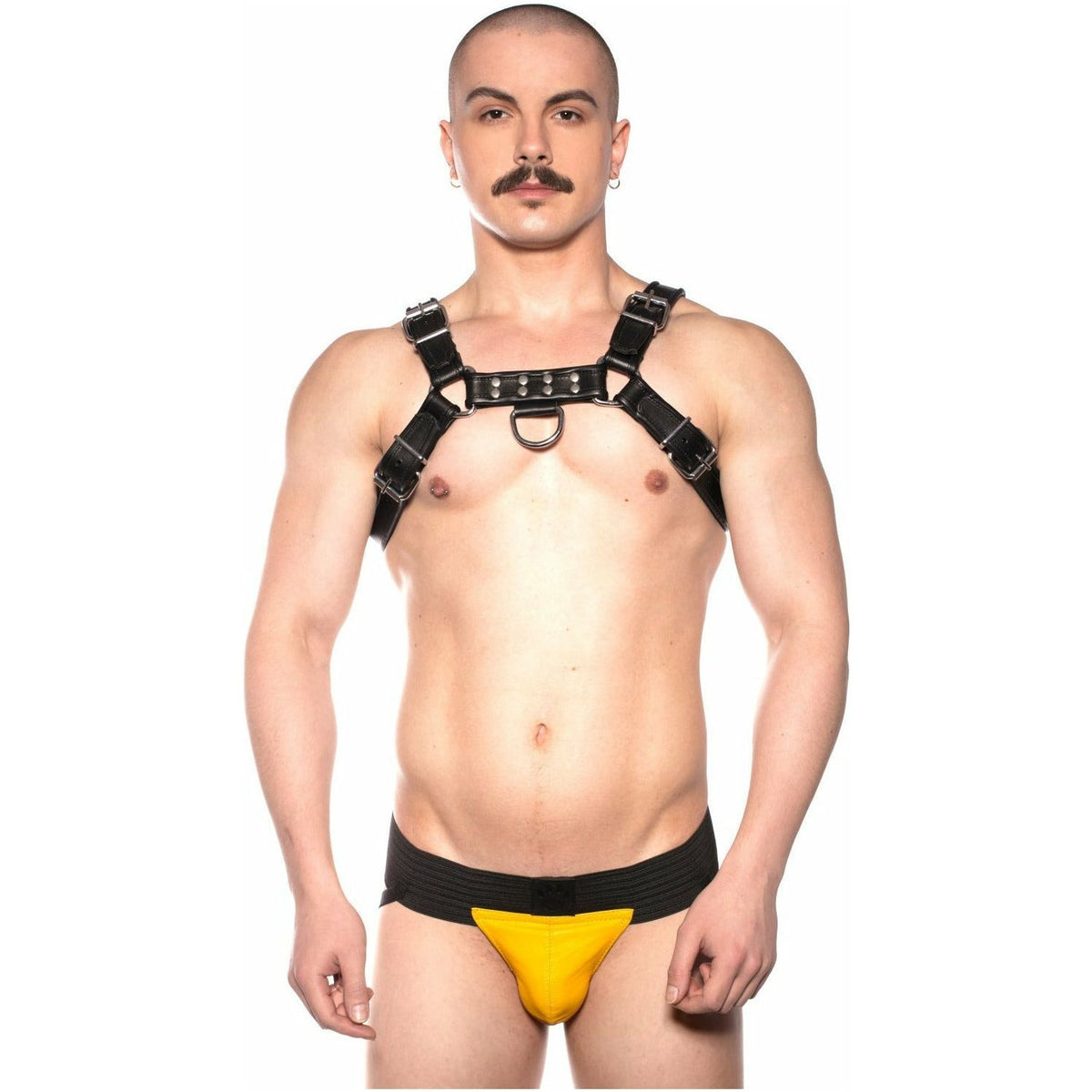 Prowler RED – Leather Bull Harness - Black - Large