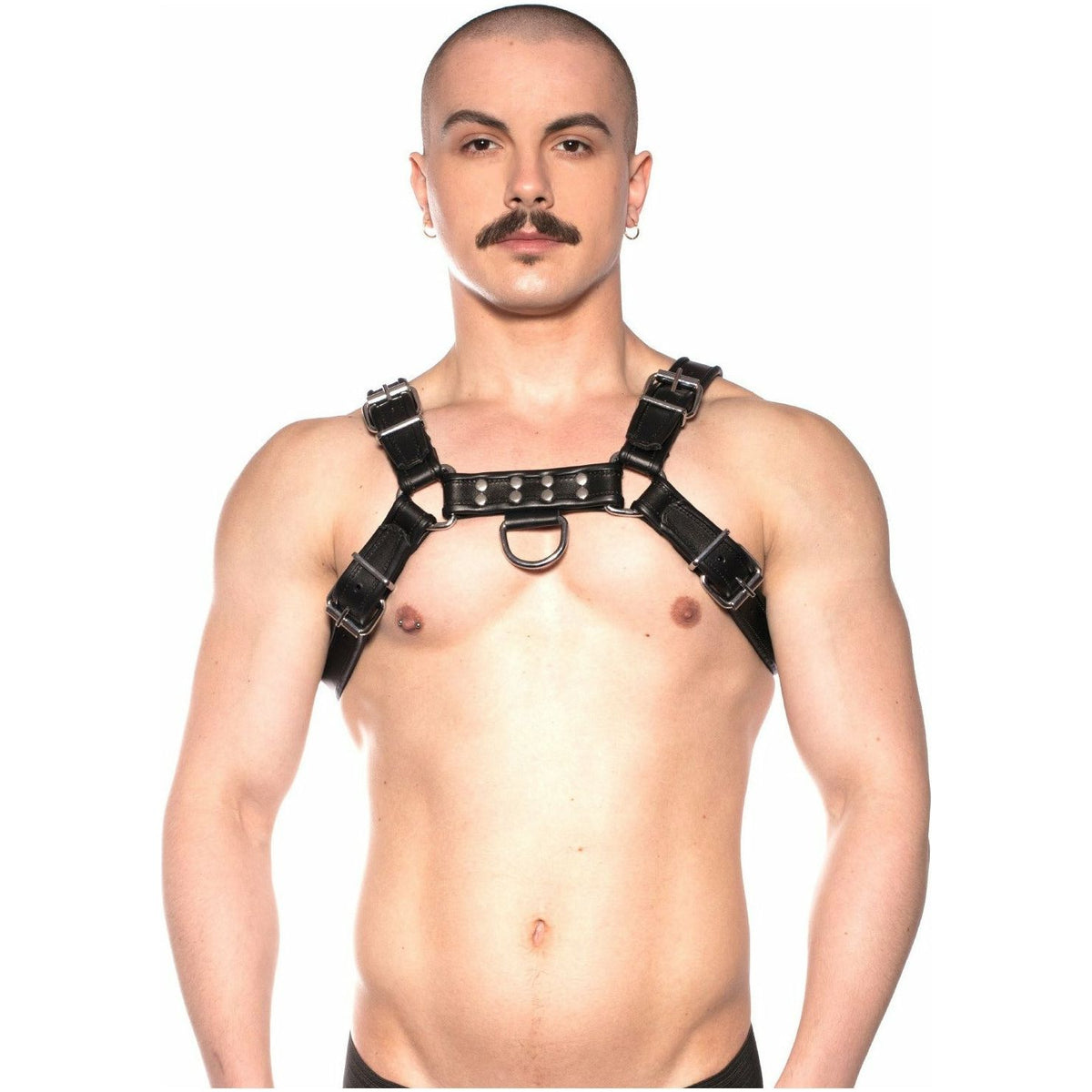 Prowler RED – Leather Bull Harness - Black - Large