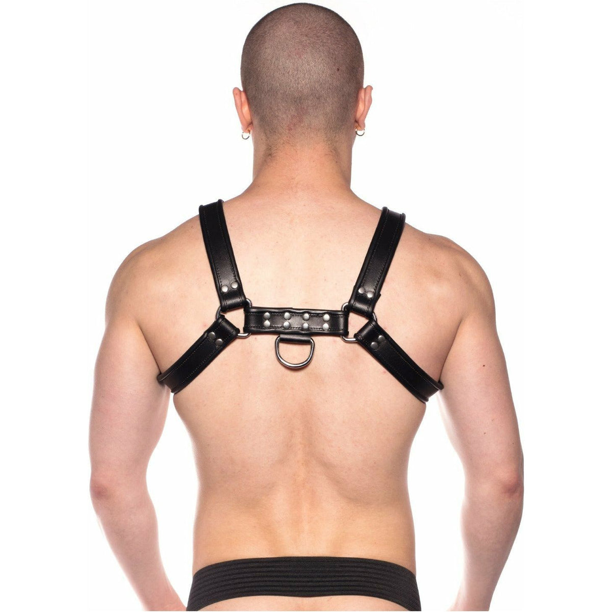 Prowler RED – Leather Bull Harness - Black - Extra Large