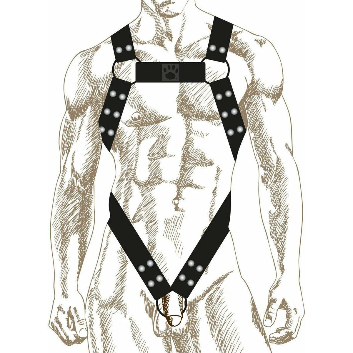 Prowler RED – Butch Body Harness - Black - Large